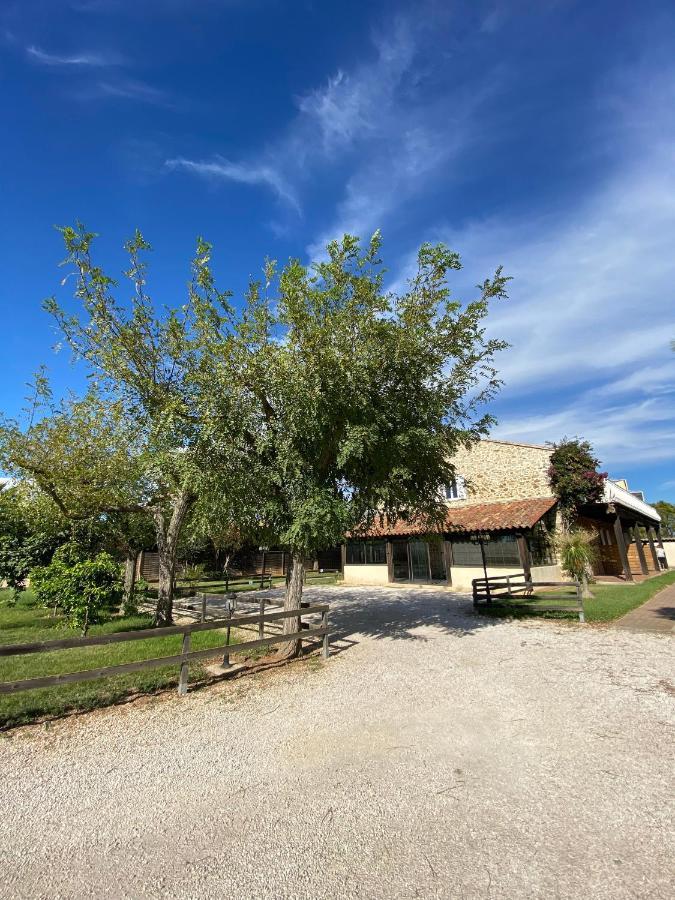 Studio 2 Personnes Vue Marais Salant Parking Et Terrasse Proche Commodite Hyères Eksteriør billede